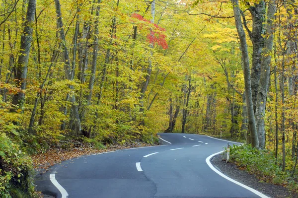 Road Autum Tint — Stock Photo, Image