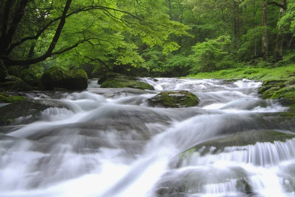 Hermosa Vista Naturaleza — Foto de Stock