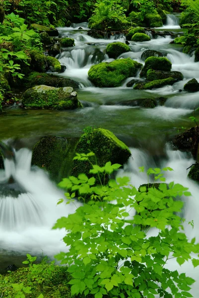 Ríos Montañosos Del Valle Oirase — Foto de Stock