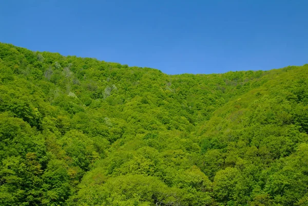 Prachtig Uitzicht Natuur — Stockfoto