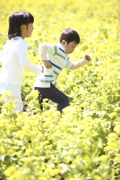 Japanische Kinder Rapsblütenfeld — Stockfoto