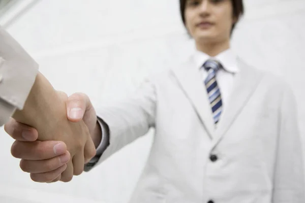 Office Workers Shaking Hands — Stock Photo, Image