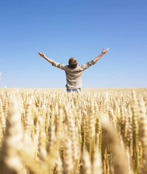 Man Standing Wheat Field Arms Raised Vertically Framed Shot — Stock Photo, Image