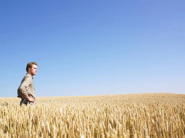 Muž Stojící Pšeničném Poli Vodorovně Zarámovaný Snímek — Stock fotografie