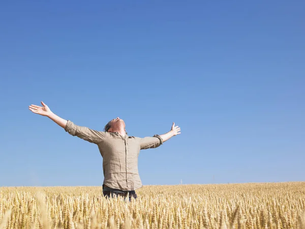 Man Standing Wheat Field Arms Outstretched Horizontally Framed Shot — Stock Photo, Image