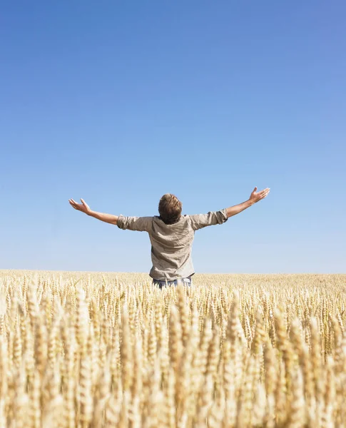 Man Doing Top World Wheat Field — Stock Photo, Image
