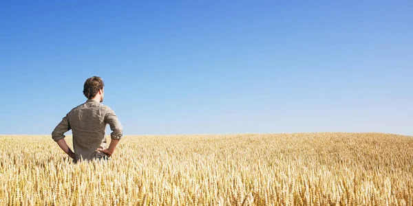 Young Man Wheat Field — Stock Photo, Image