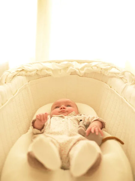 Baby Wieg Met Knuffel Verticaal Ingelijst Schot — Stockfoto