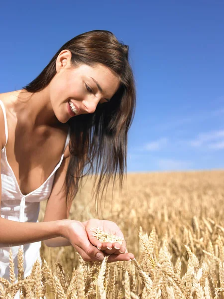 Mulher Segurando Trigo Suas Mãos Sobre Campo — Fotografia de Stock