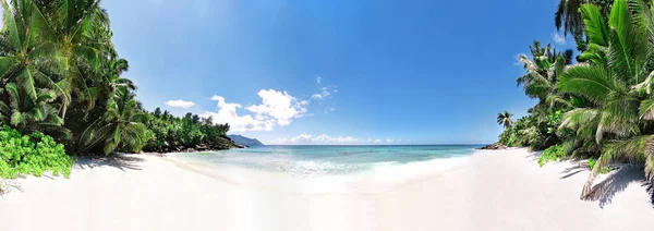 Panoramische Vue Van Idle Strand Met Palmbomen — Stockfoto