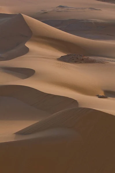 砂丘の朝の気分 — ストック写真