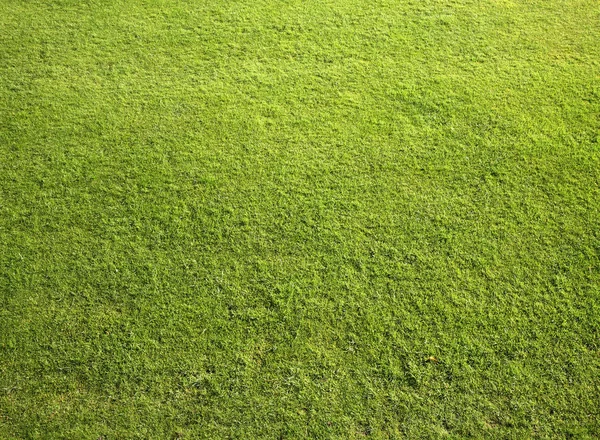 Neat cut grass on a bowling green.