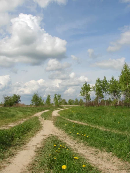 spring landscape with country road fork and cloudy sky