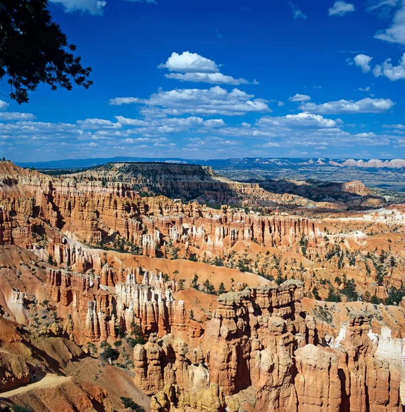 Hoodoos Drottningens Trädgård Bryce Canyon Utah Usa — Stockfoto