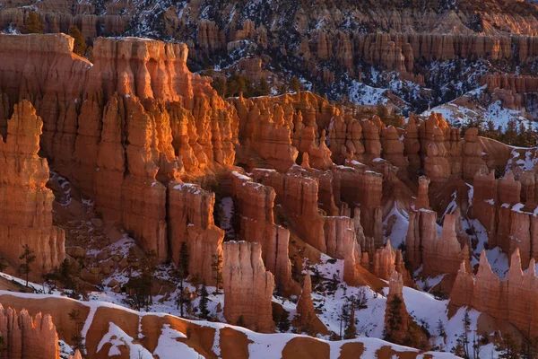 Canyon Bryce Parc National Avec Grès — Photo