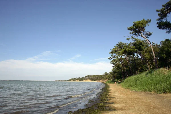 Řada Ronce Les Bains Charente Maritime — Stock fotografie