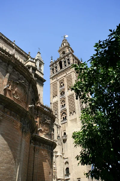 Giralda Sevilla Španělsko — Stock fotografie