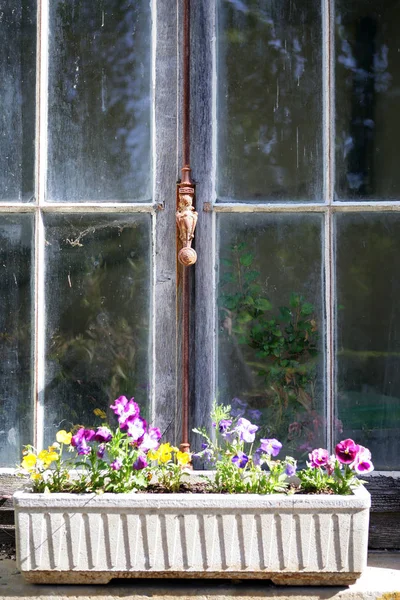 Hrnec Květinami Okraji Velkého Okna — Stock fotografie