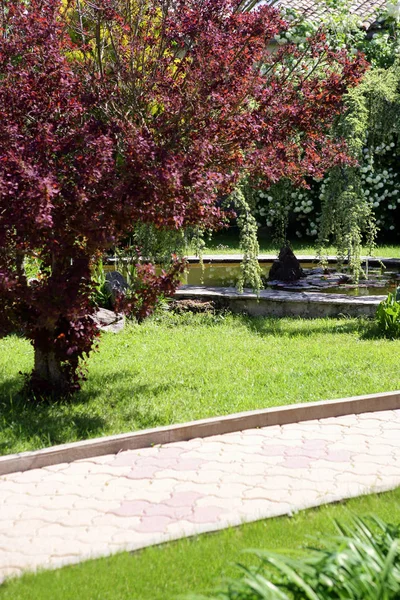 Percorso Una Casa Con Giardino — Foto Stock