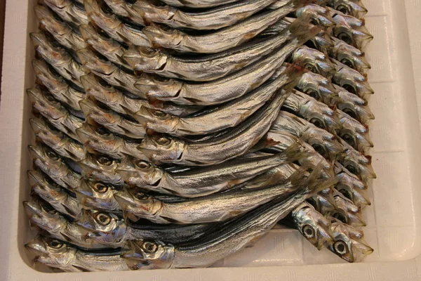 Alimento Mar Mercado Peixes — Fotografia de Stock