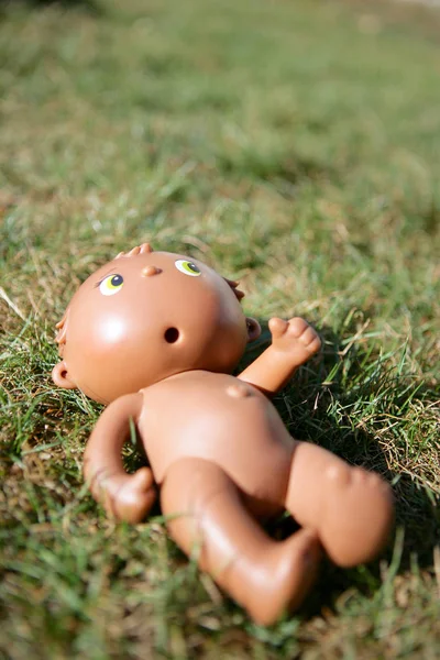 Baby Doll Grass — Stok Foto