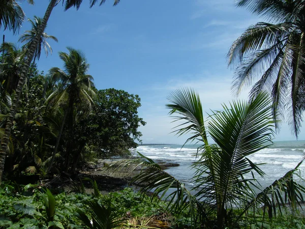 Ландшафт Коста Рики — стокове фото