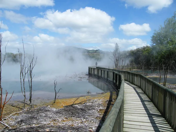 Nova Zelândia Manifestações Geotérmicas Rotorua — Fotografia de Stock