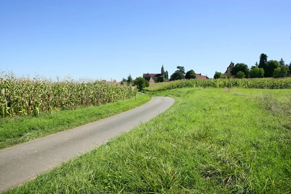 Hermosa Vista Del Paisaje Natural — Foto de Stock