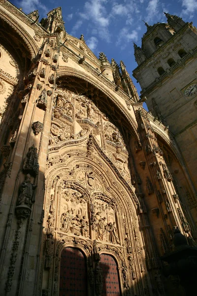 Cathédrale Salamanque Espagne — Photo