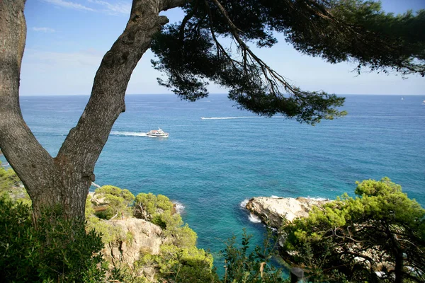 Kustlijn Costa Brava Spanje — Stockfoto