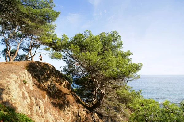 Dejar Lado Costa Brava España —  Fotos de Stock