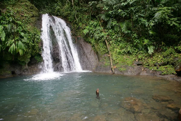 Schöner Blick Auf Den Wasserfall — Stockfoto