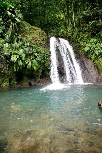 Schöner Blick Auf Den Wasserfall — Stockfoto