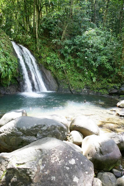 Prachtig Uitzicht Natuur Scene — Stockfoto