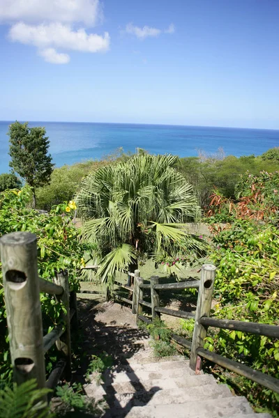 Basse Terre Guadeloupe以北 — 图库照片