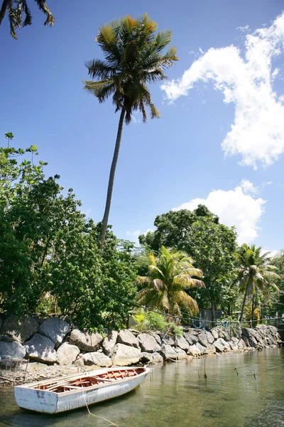 Hermosa Vista Naturaleza — Foto de Stock