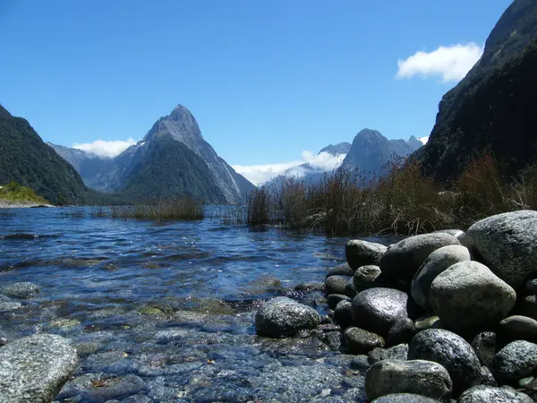 New Zealand South Island Milford Sound — Stock Photo, Image