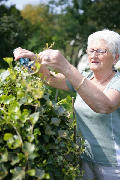 Retrato Uma Mulher Idosa Fazendo Jardinagem — Fotografia de Stock