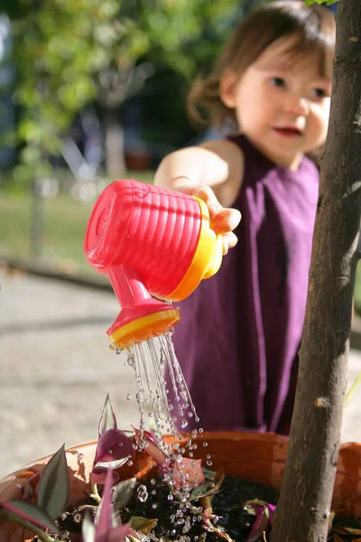Маленькая Девочка Поливает Растение Пластиковой Канистрой — стоковое фото