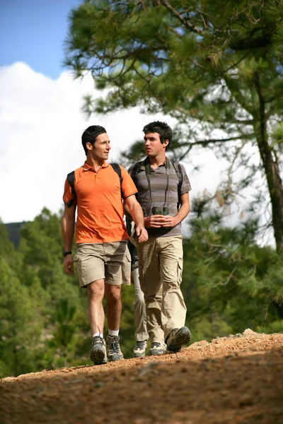 Homens Caminhando Longe Olhando — Fotografia de Stock