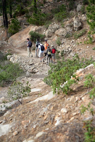 Grupo Excursionistas Caminando Codo Con Codo Con Mochila —  Fotos de Stock