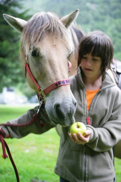 Portret Van Een Jonge Vrouw Die Een Appel Aan Een — Stockfoto