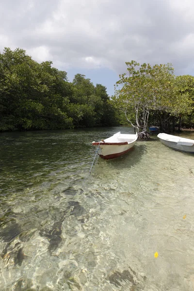 Boats Mangrove Nusa Lembongan — Stock Photo, Image