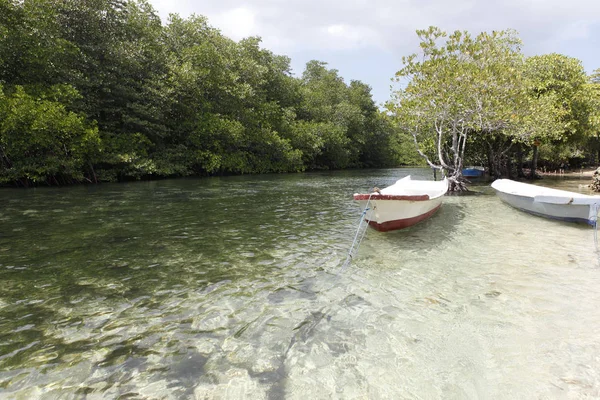 Boats Mangrove Nusa Lembongan — Stock Photo, Image