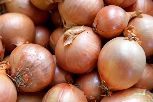 Vegetarische Kost Selektiver Fokus — Stockfoto