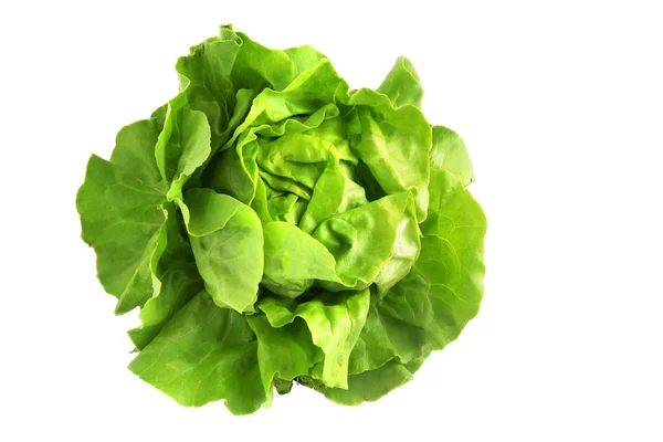 Salat Auf Weißem Hintergrund — Stockfoto