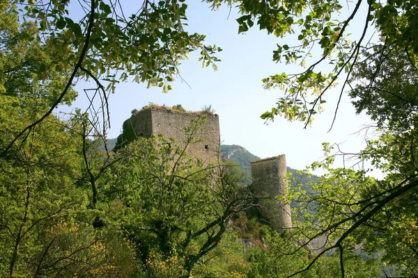 Vista Sul Castello Carcassonne Francia — Foto Stock