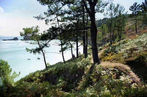 Prachtig Uitzicht Het Natuurlandschap — Stockfoto