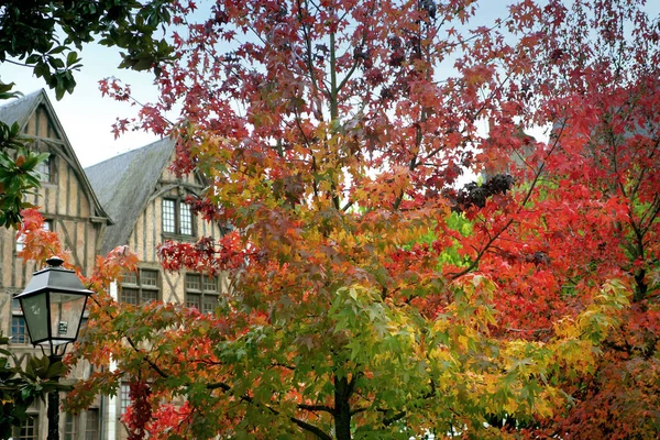 Beautiful Autumn Landscape Background — Stock Photo, Image