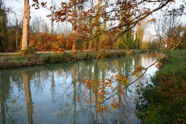 Vacker Natur Landskap Bakgrunden — Stockfoto